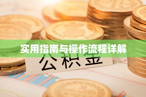 东昌实用指南与操作流程详解