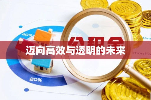 仙游迈向高效与透明的未来