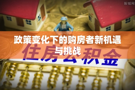 沧源政策变化下的购房者新机遇与挑战