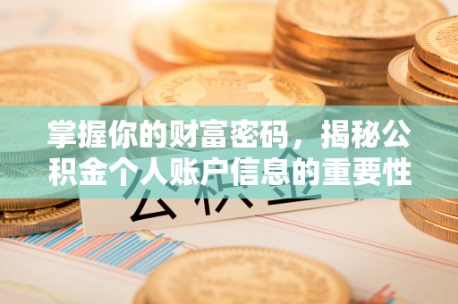沧源掌握你的财富密码，揭秘公积金个人账户信息的重要性