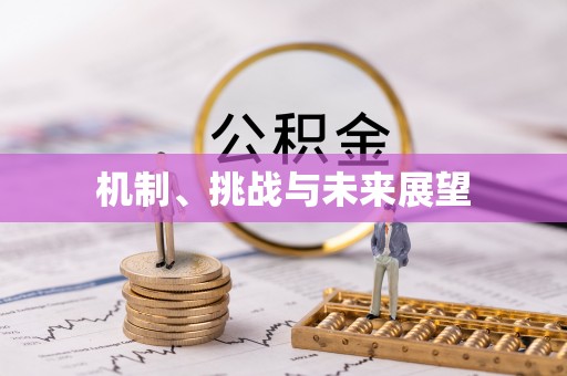 海城机制、挑战与未来展望