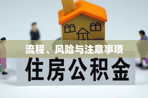 商机流程、风险与注意事项